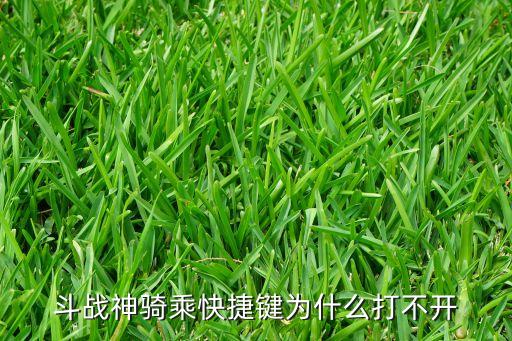 米粒賺掛機，第五代虛偽充值軟件好不好呀在哪里買最好呢