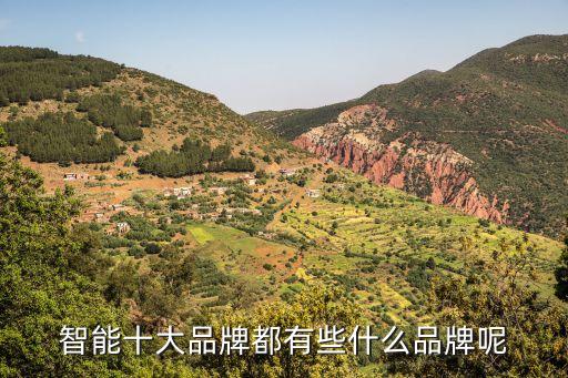 智能十大品牌都有些什么品牌呢