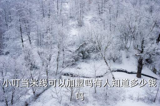小叮當米線加盟價格，小叮當米線可以加盟嗎有人知道多少錢嗎