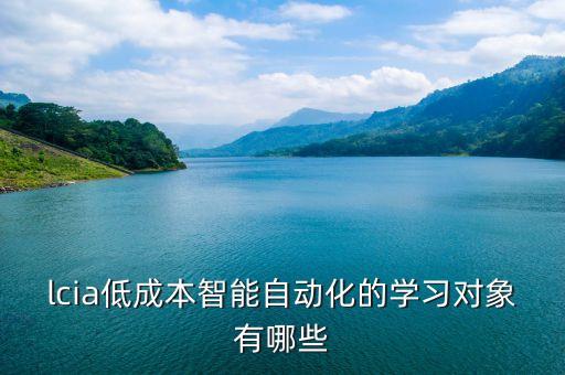 lcia低成本自動化案例，LCIA是哪個公司的誰首次提出的