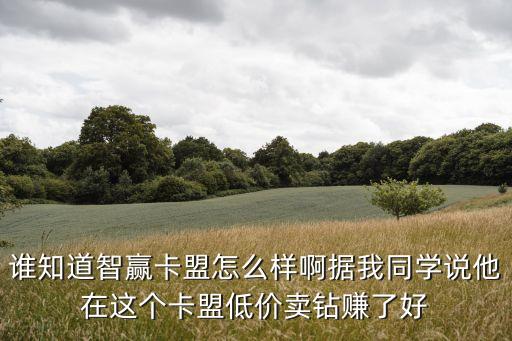 誰知道智贏卡盟怎么樣啊據(jù)我同學(xué)說他在這個卡盟低價賣鉆賺了好