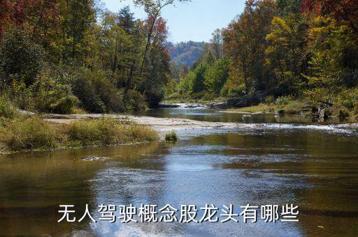 自動駕駛龍頭公司，無人駕駛概念股龍頭有哪些