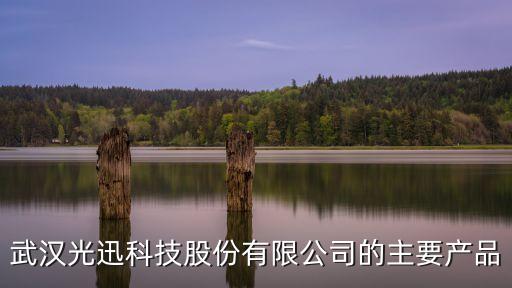 武漢光迅科技股份有限公司的主要產(chǎn)品