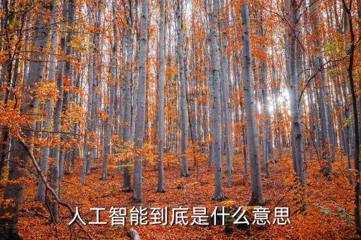 人工智能到底是什么意思
