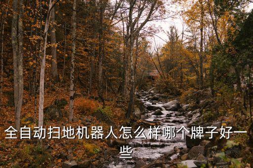 全自動(dòng)掃地機(jī)器人怎么樣哪個(gè)牌子好一些