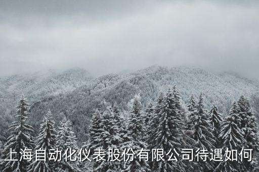 上海自動化儀表有限公司，上海自動化儀表