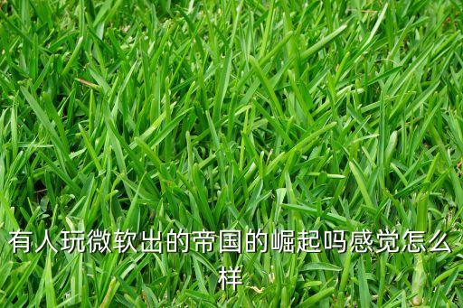 有人玩微軟出的帝國的崛起嗎感覺怎么樣