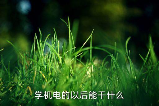 學機電的以后能干什么