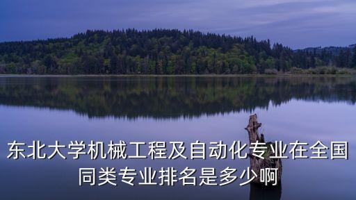 東北大學(xué)機(jī)械工程及自動(dòng)化專業(yè)在全國(guó)同類專業(yè)排名是多少啊