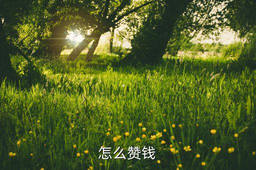 怎么贊錢