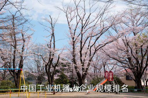 中國(guó)工業(yè)機(jī)器人公司排名榜，目前國(guó)內(nèi)做工業(yè)機(jī)器人工作站集成的公司除了昆山華恒廈門思爾特