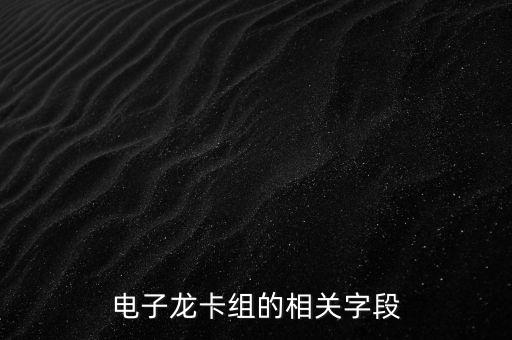電子龍卡組的相關(guān)字段