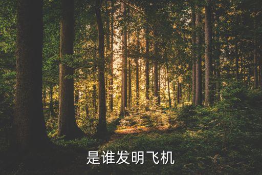 是誰(shuí)發(fā)明飛機(jī)