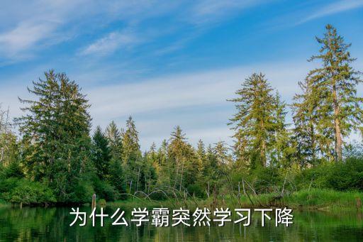 學霸降重，中學生如何降重