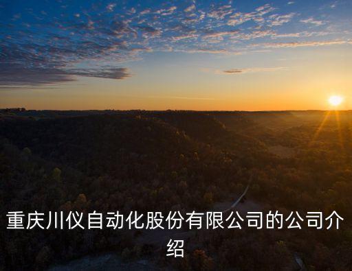 重慶川儀自動(dòng)化股份有限公司的公司介紹