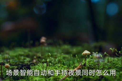 場景智能自動，場景智能自動和手持夜景同時怎么用
