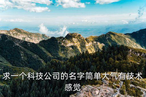 求一個科技公司的名字簡單大氣有技術感覺