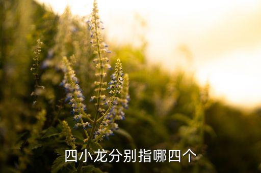 四小龍分別指哪四個