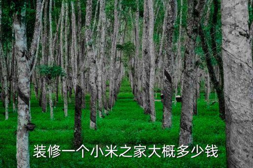 裝修一個小米之家大概多少錢