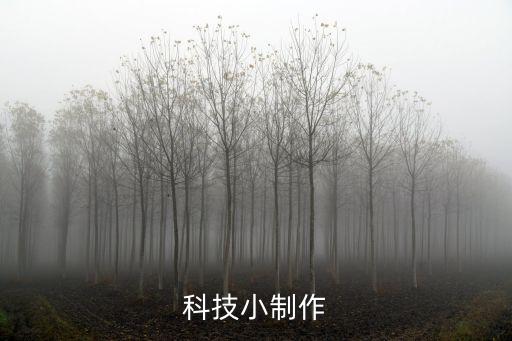 小制作一等獎 視頻，光明小學(xué)舉行科技小制作比賽獲得一二三等獎的人數(shù)的比是135已