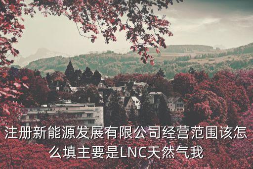 注冊新能源發(fā)展有限公司經(jīng)營范圍該怎么填主要是LNC天然氣我