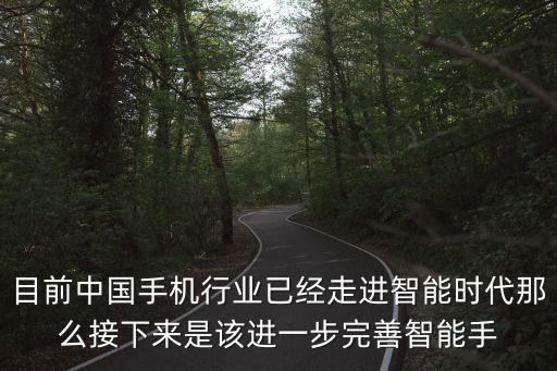 目前中國手機行業(yè)已經(jīng)走進智能時代那么接下來是該進一步完善智能手