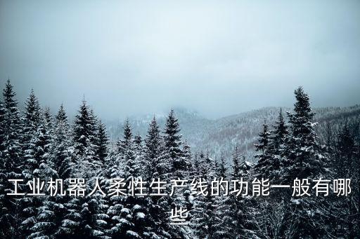 工業(yè)機(jī)器人柔性生產(chǎn)線的功能一般有哪些