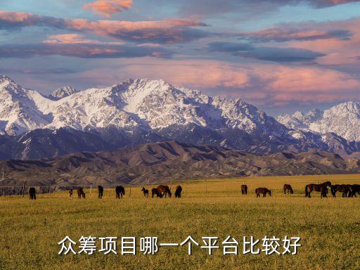 眾籌項(xiàng)目哪一個(gè)平臺(tái)比較好