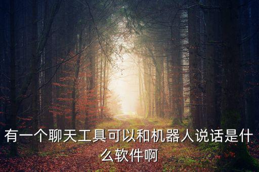 有一個聊天工具可以和機(jī)器人說話是什么軟件啊
