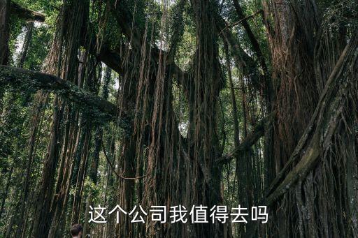 嬴徹科技值得去嗎，面試剛回來(lái)這樣的公司值得去嗎