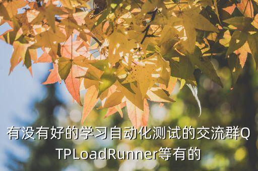 有沒有好的學習自動化測試的交流群QTPLoadRunner等有的