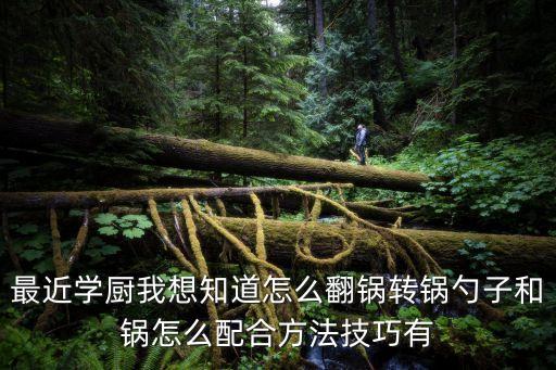 最近學(xué)廚我想知道怎么翻鍋轉(zhuǎn)鍋勺子和鍋怎么配合方法技巧有