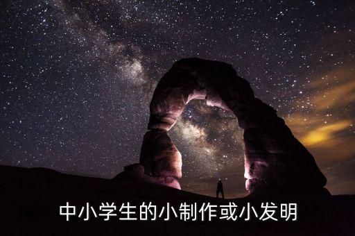 中小學(xué)生的小制作或小發(fā)明