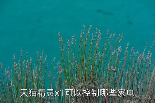 天貓精靈x1可以控制哪些家電