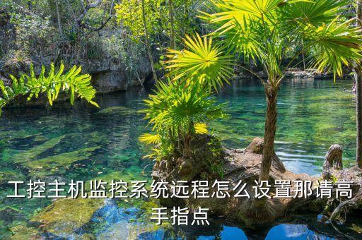 工控主機(jī)監(jiān)控系統(tǒng)遠(yuǎn)程怎么設(shè)置那請高手指點(diǎn)