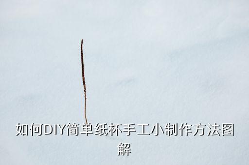 如何DIY簡(jiǎn)單紙杯手工小制作方法圖解