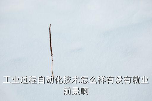 工業(yè)過(guò)程自動(dòng)化技術(shù)怎么樣有沒(méi)有就業(yè)前景啊