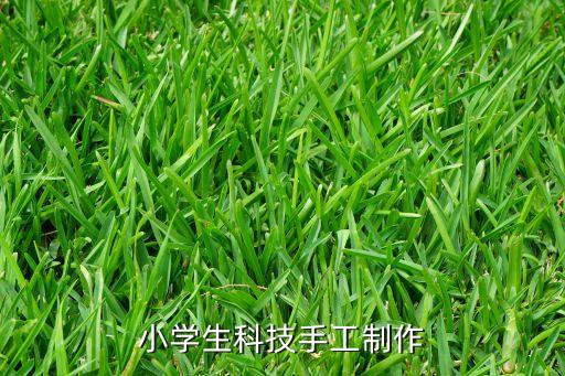 小學(xué)生科技手工制作