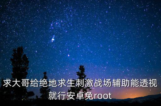 求大哥給絕地求生刺激戰(zhàn)場輔助能透視就行安卓免root