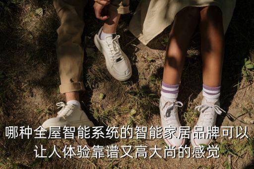 哪種全屋智能系統(tǒng)的智能家居品牌可以讓人體驗靠譜又高大尚的感覺