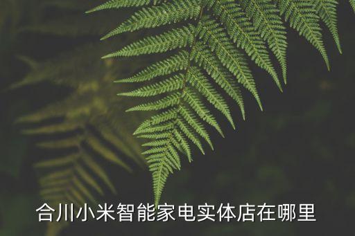 合川小米智能家電實(shí)體店在哪里