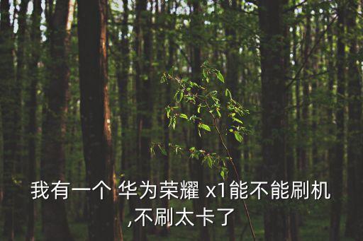 我有一個 華為榮耀 x1能不能刷機(jī),不刷太卡了