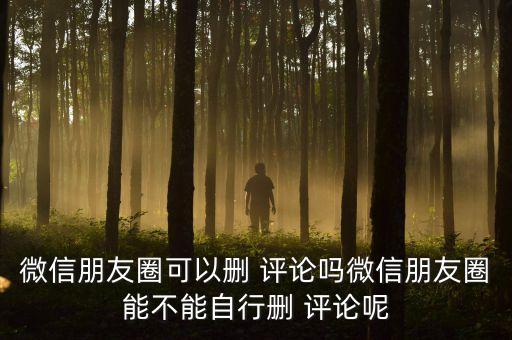 微信朋友圈可以刪 評(píng)論嗎微信朋友圈能不能自行刪 評(píng)論呢