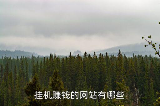 自動掛機(jī)賺錢網(wǎng)站，掛機(jī)賺錢的網(wǎng)站有哪些