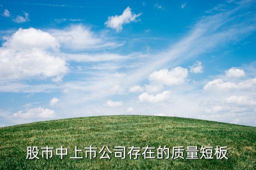 股市中上市公司存在的質(zhì)量短板