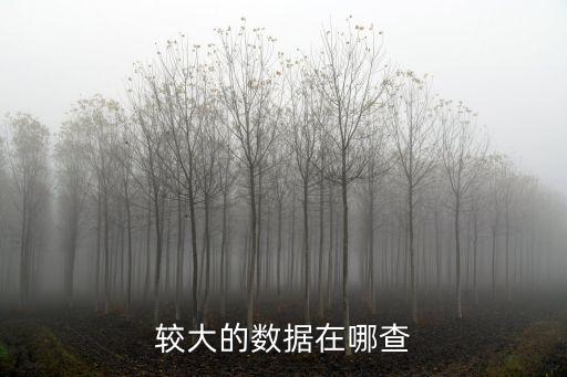 較大的數(shù)據(jù)在哪查