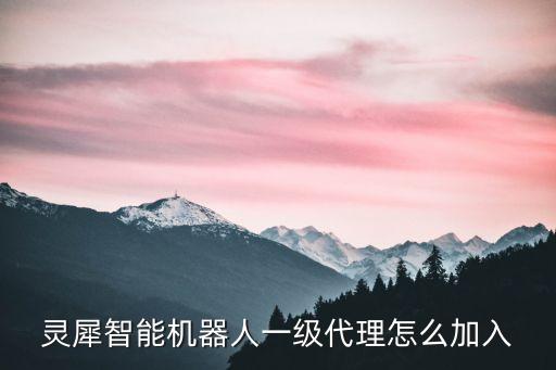 機器人項目加盟代理，智能機器人代理加盟哪家好