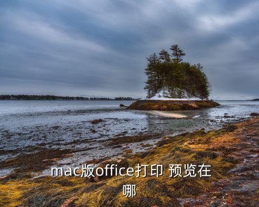 mac自動預(yù)覽,點擊打印預(yù)覽按鈕即可查看預(yù)覽文檔