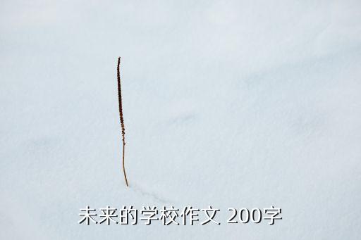 未來的學(xué)校作文 200字
