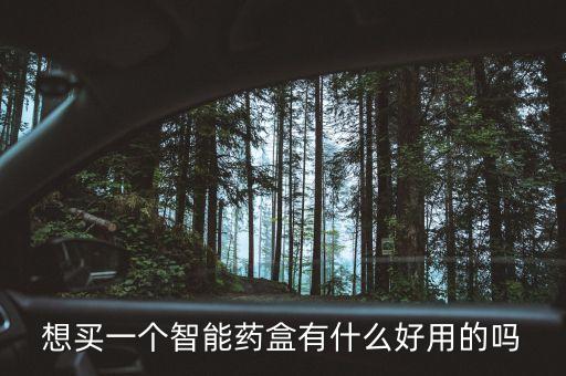 想買一個智能藥盒有什么好用的嗎
